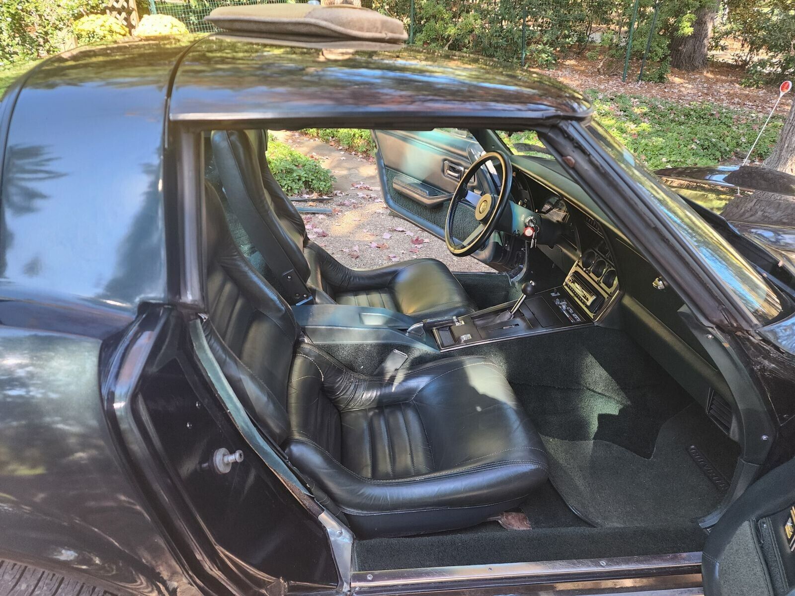 Chevrolet-Corvette-Cabriolet-1979-9