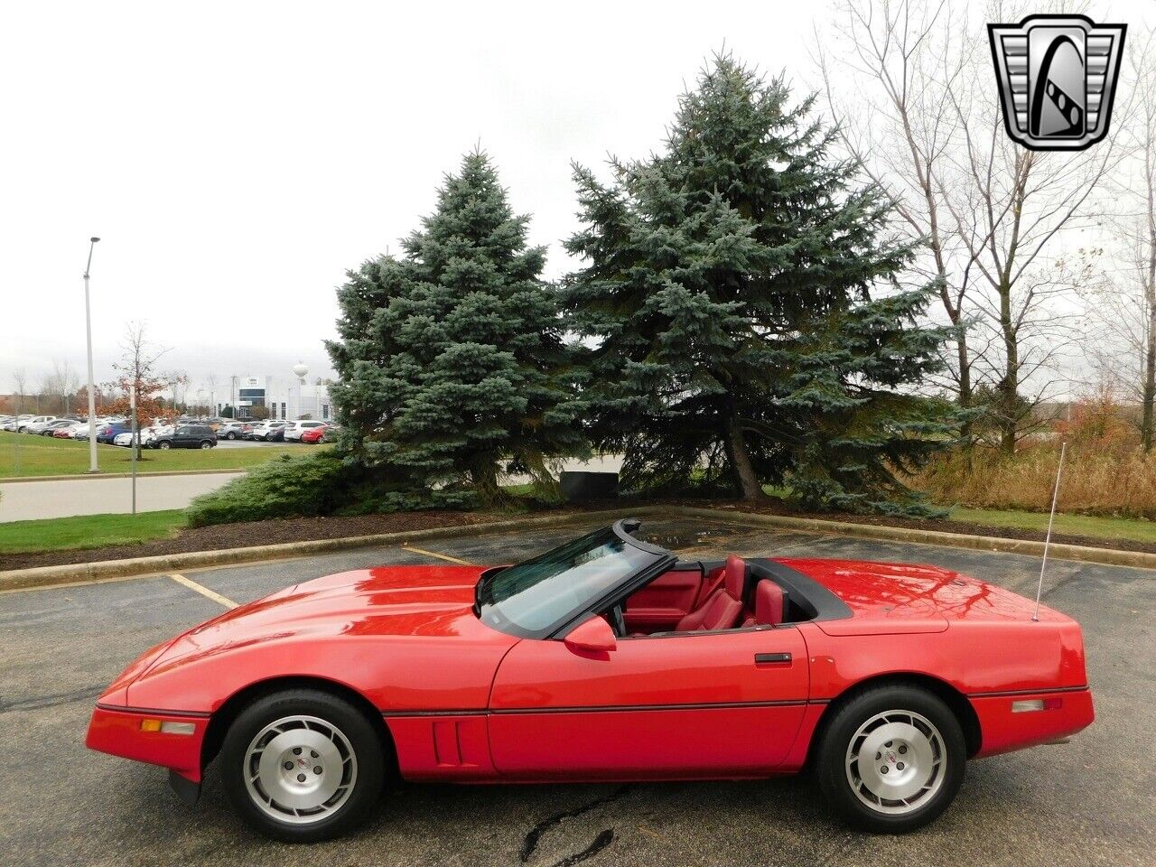 Chevrolet-Corvette-Cabriolet-1986-2