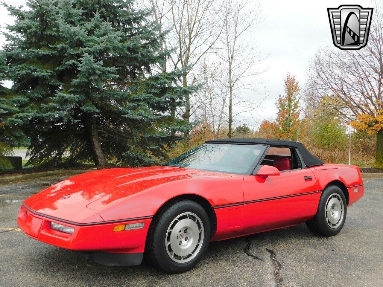 Chevrolet-Corvette-Cabriolet-1986-6