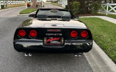 Chevrolet-Corvette-Cabriolet-1989-14