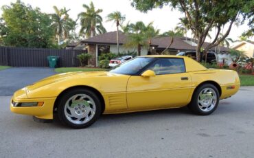 Chevrolet Corvette Cabriolet 1994 à vendre