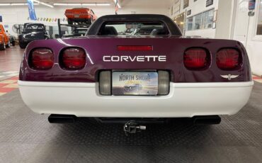 Chevrolet-Corvette-Cabriolet-1995-13