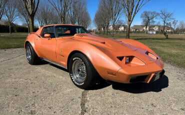 Chevrolet-Corvette-Coupe-1976-11