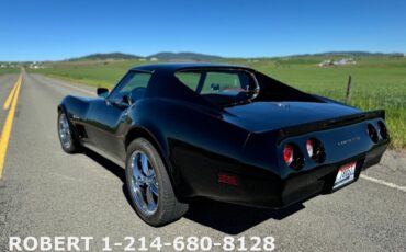 Chevrolet-Corvette-Coupe-1976-11