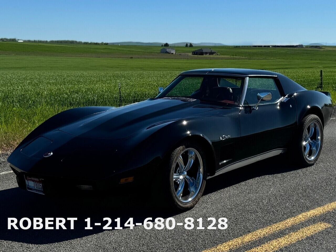 Chevrolet-Corvette-Coupe-1976-12