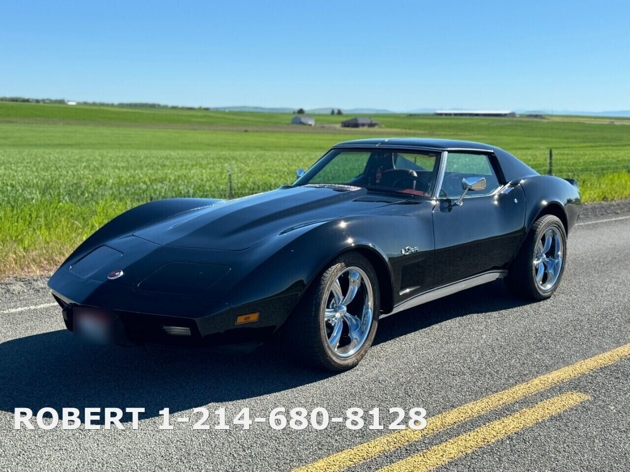 Chevrolet-Corvette-Coupe-1976-15