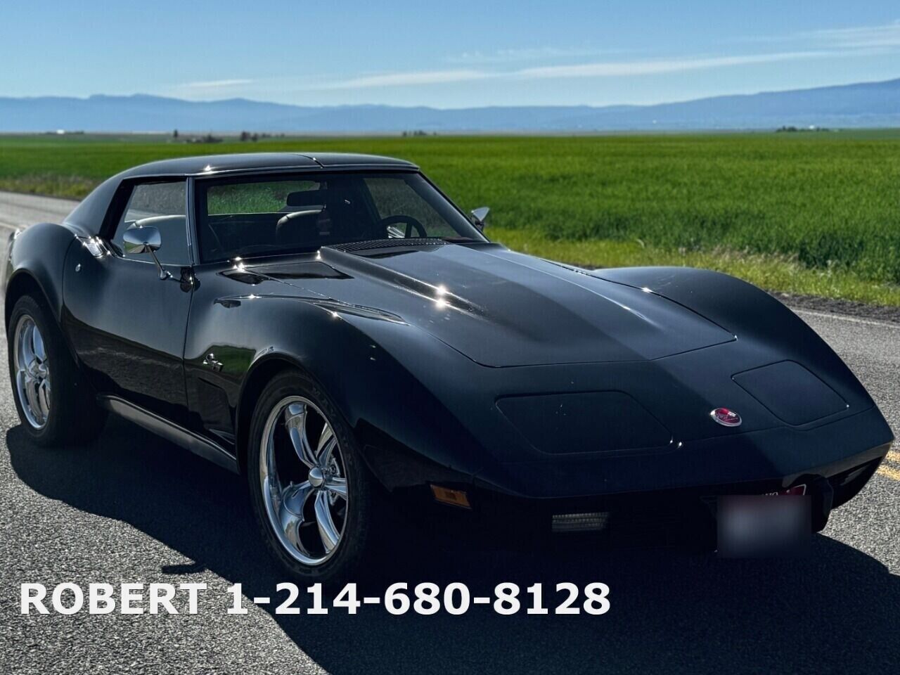 Chevrolet-Corvette-Coupe-1976-16