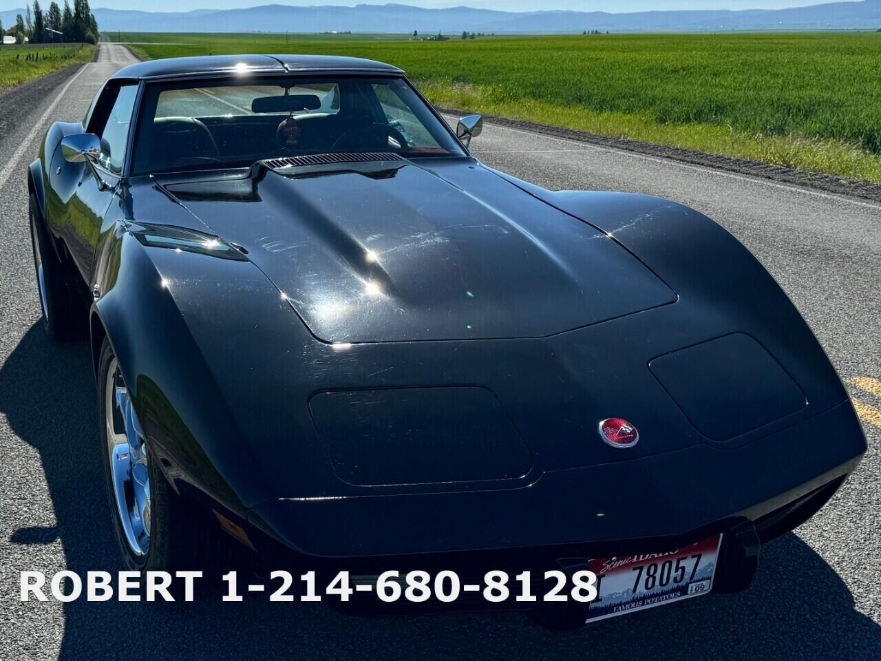 Chevrolet-Corvette-Coupe-1976-19