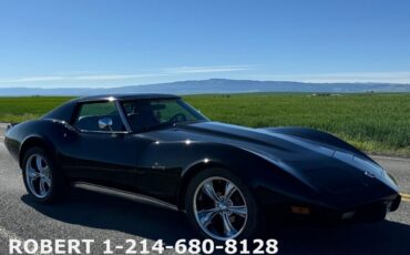 Chevrolet-Corvette-Coupe-1976-20