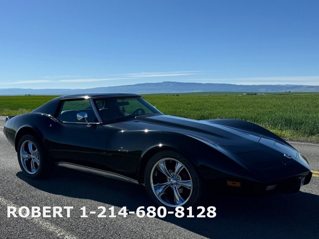 Chevrolet-Corvette-Coupe-1976-20