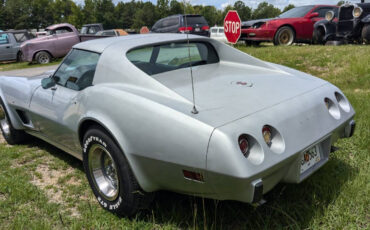 Chevrolet-Corvette-Coupe-1976-6