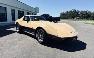 Chevrolet-Corvette-Coupe-1977-7