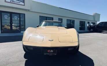 Chevrolet-Corvette-Coupe-1977-8