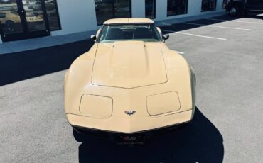 Chevrolet-Corvette-Coupe-1977-9