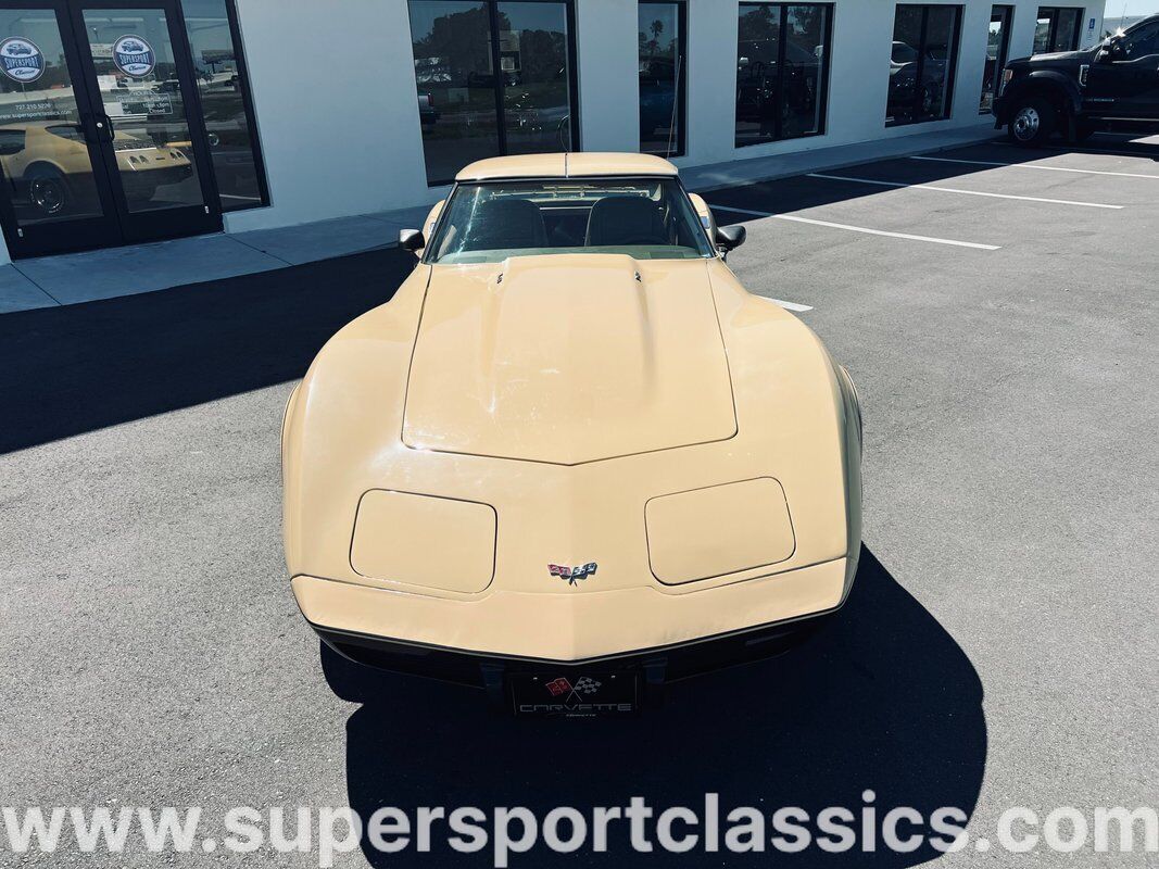 Chevrolet-Corvette-Coupe-1977-9