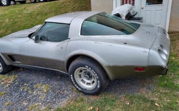 Chevrolet-Corvette-Coupe-1978-11