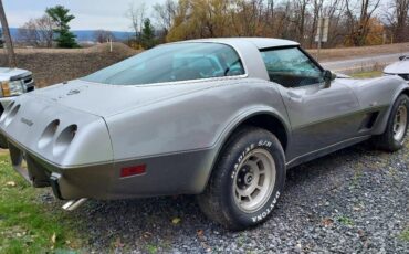 Chevrolet-Corvette-Coupe-1978-19