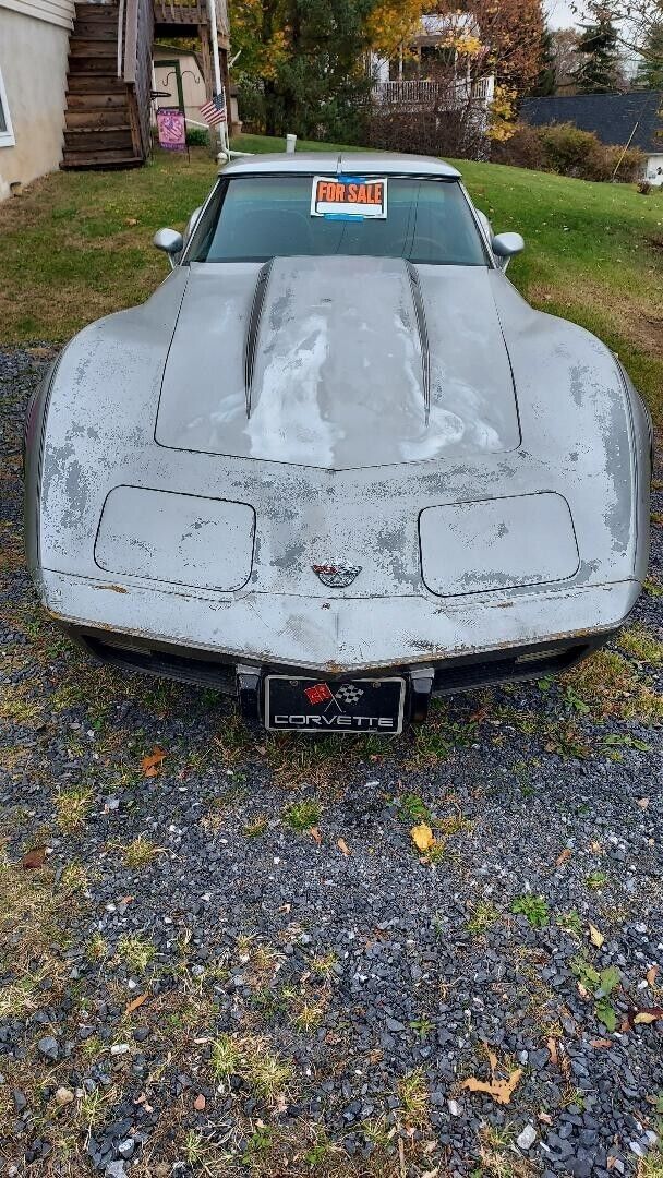 Chevrolet-Corvette-Coupe-1978-3