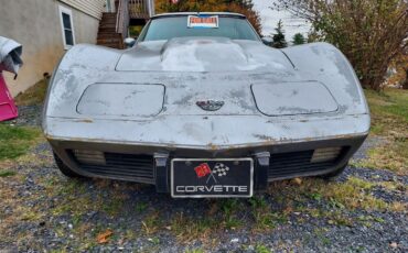 Chevrolet-Corvette-Coupe-1978-4