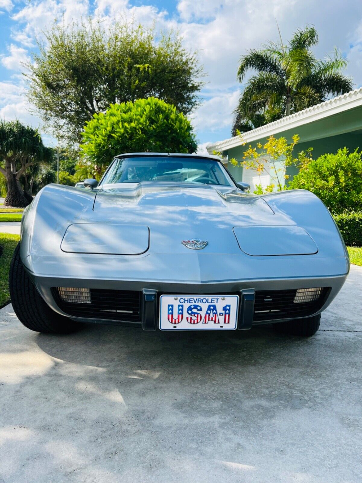 Chevrolet-Corvette-Coupe-1978-4