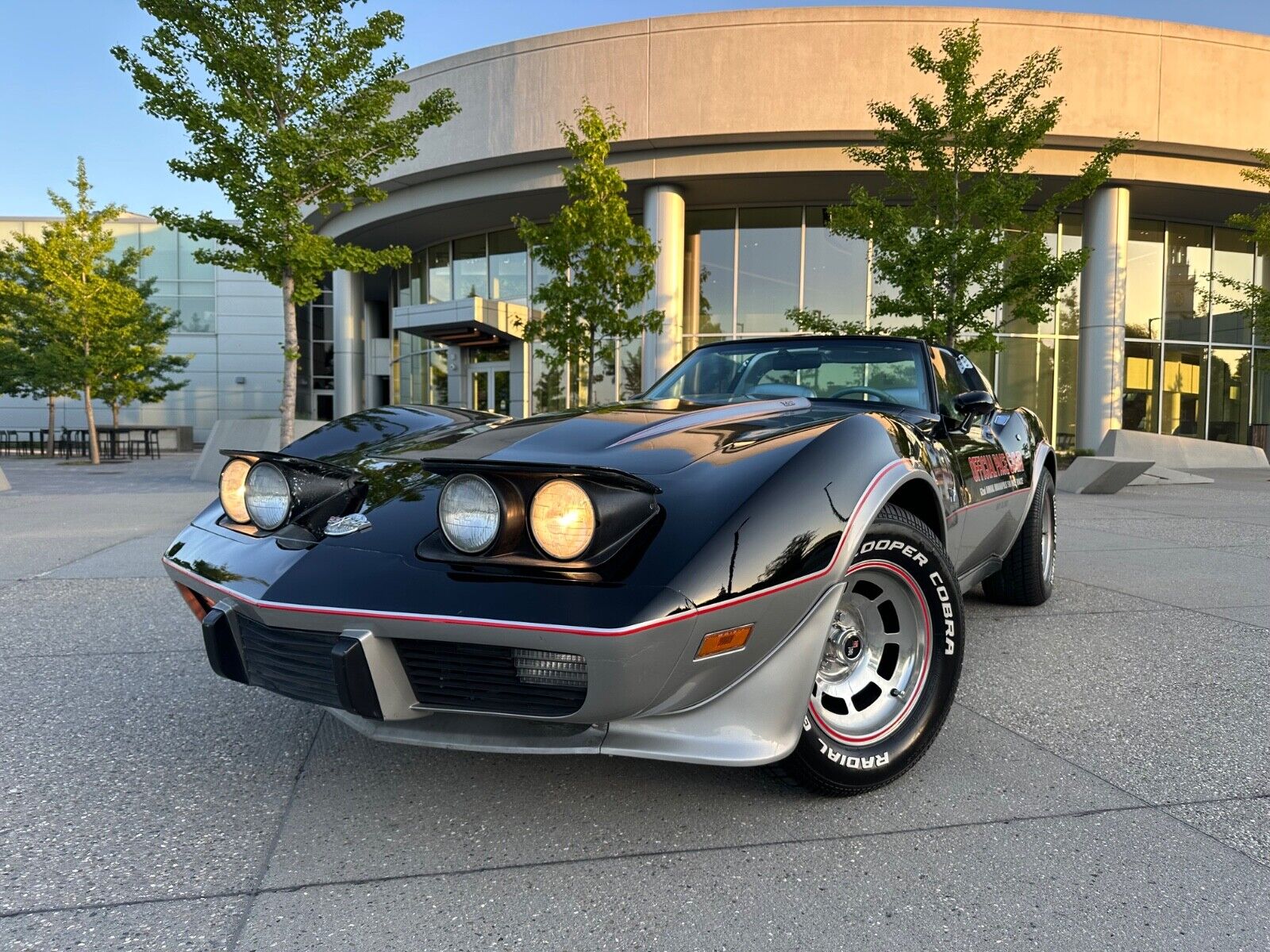 Chevrolet-Corvette-Coupe-1978-5