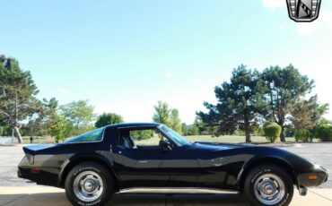 Chevrolet-Corvette-Coupe-1978-6