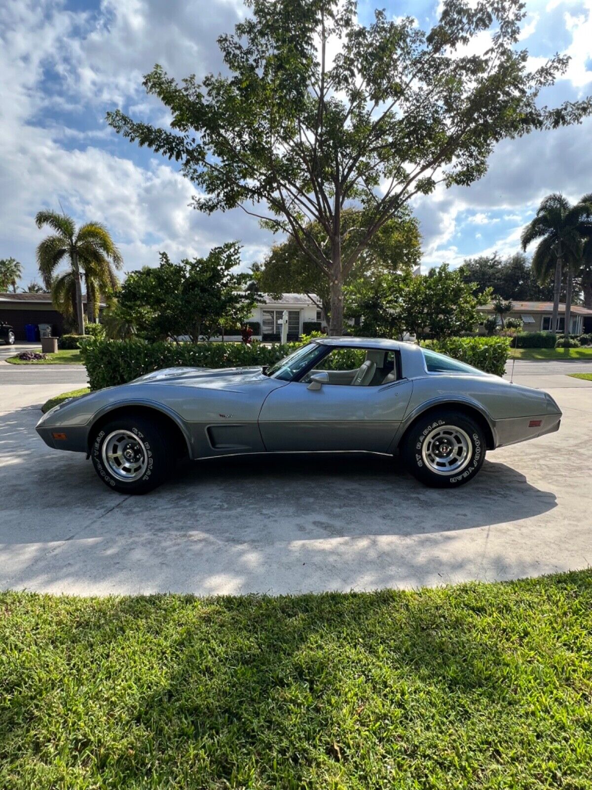 Chevrolet-Corvette-Coupe-1978-6