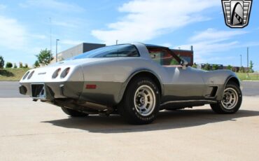 Chevrolet-Corvette-Coupe-1978-6