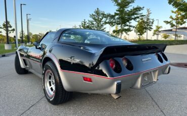 Chevrolet-Corvette-Coupe-1978-8