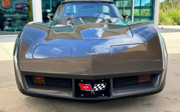 Chevrolet-Corvette-Coupe-1979-1