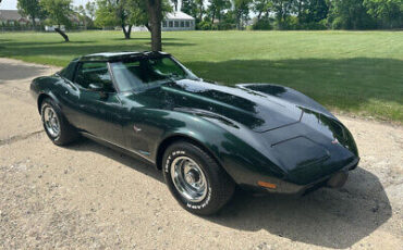 Chevrolet-Corvette-Coupe-1979-10