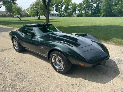 Chevrolet-Corvette-Coupe-1979-10