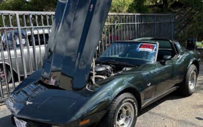 Chevrolet Corvette Coupe 1979 à vendre