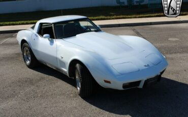 Chevrolet-Corvette-Coupe-1979-2