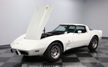 Chevrolet-Corvette-Coupe-1979-35