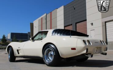 Chevrolet-Corvette-Coupe-1979-4