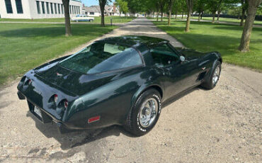 Chevrolet-Corvette-Coupe-1979-6