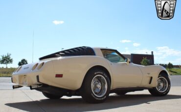 Chevrolet-Corvette-Coupe-1979-6