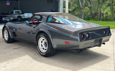 Chevrolet-Corvette-Coupe-1979-6