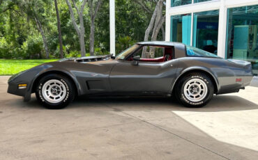 Chevrolet-Corvette-Coupe-1979-7