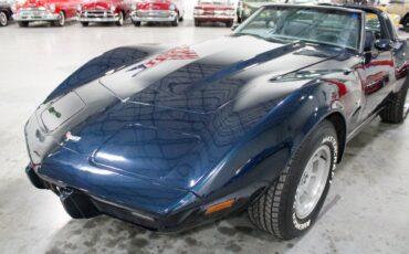 Chevrolet-Corvette-Coupe-1979-8