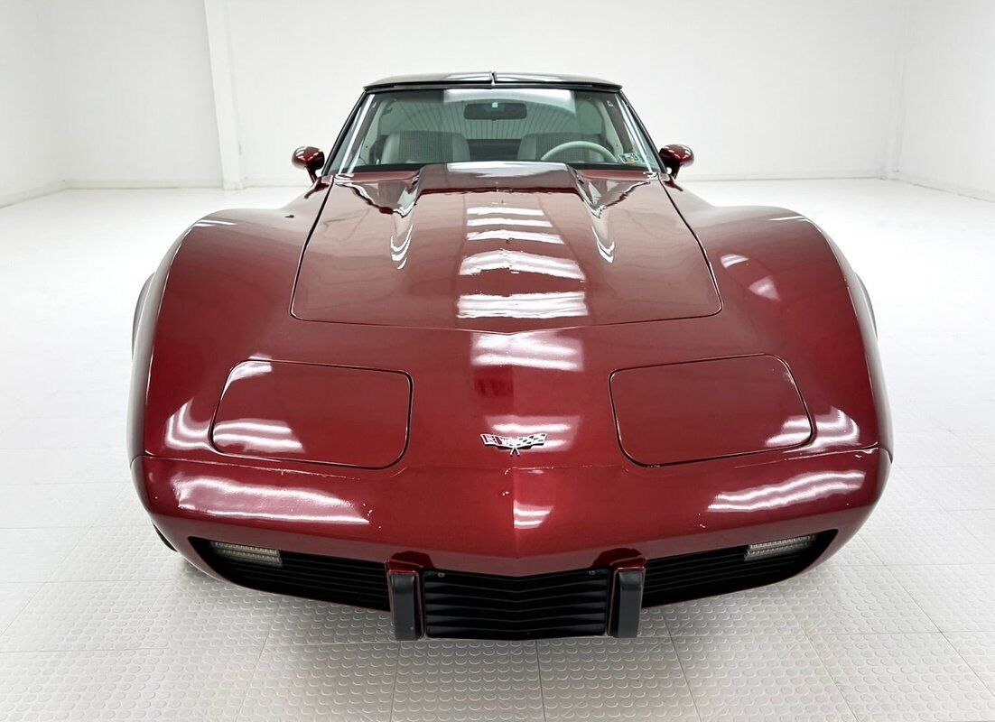 Chevrolet-Corvette-Coupe-1979-8