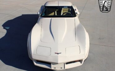 Chevrolet-Corvette-Coupe-1980-10