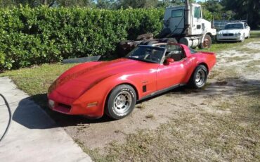 Chevrolet-Corvette-Coupe-1981-1