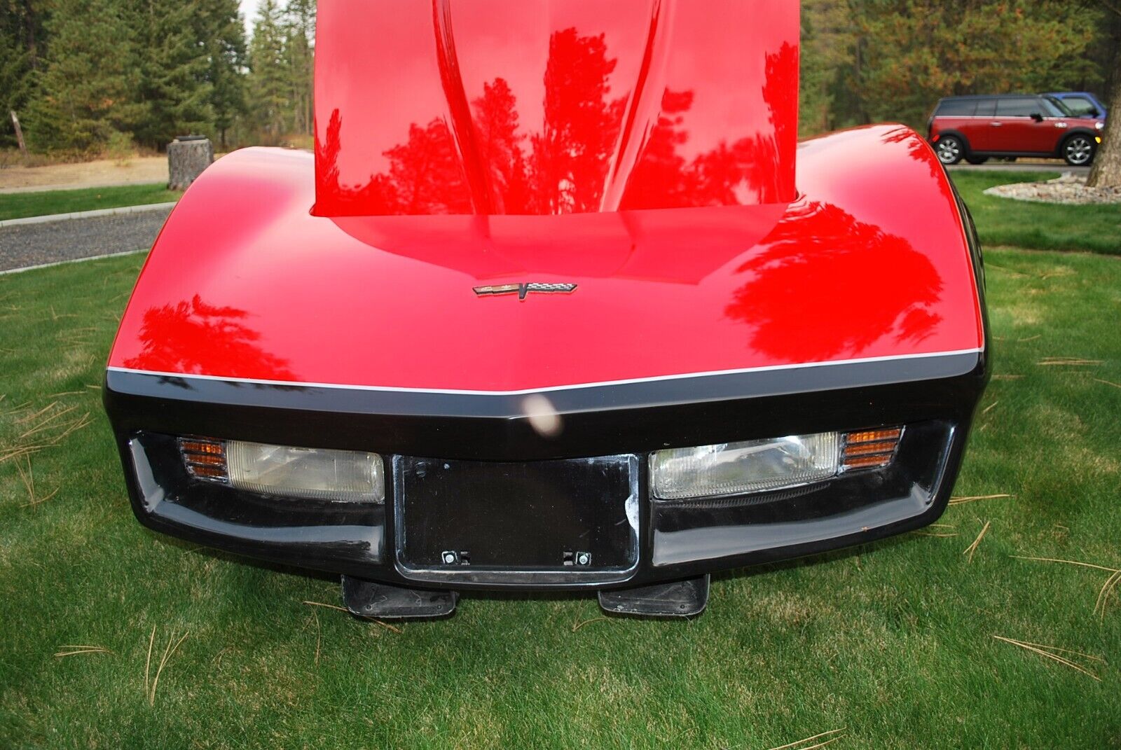 Chevrolet-Corvette-Coupe-1981-14