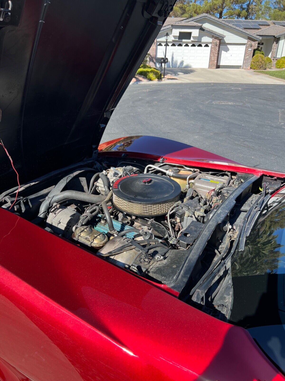 Chevrolet-Corvette-Coupe-1981-15