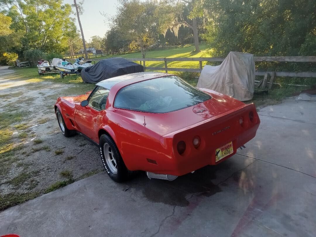 Chevrolet-Corvette-Coupe-1981-2