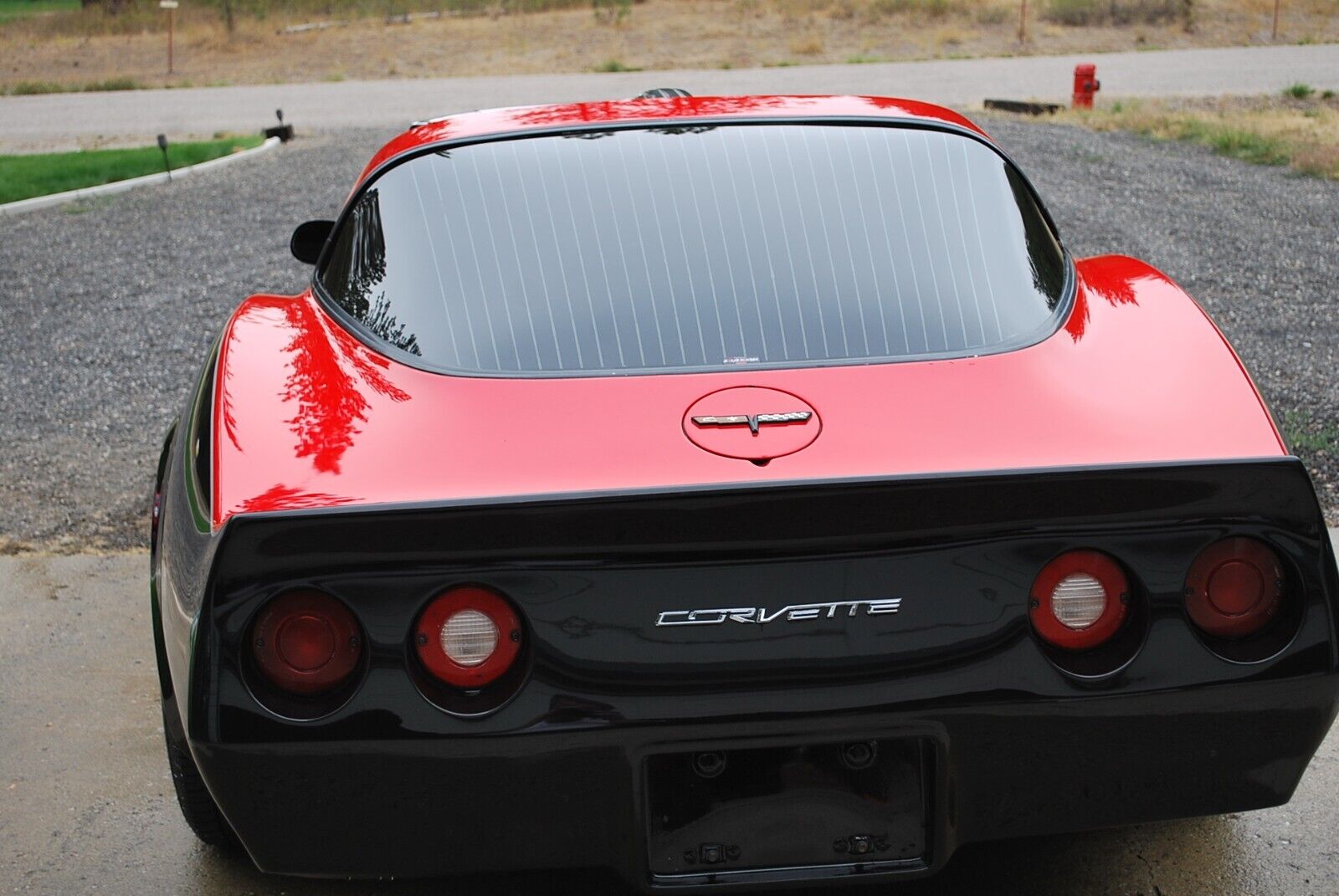 Chevrolet-Corvette-Coupe-1981-2