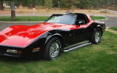 Chevrolet Corvette Coupe 1981 à vendre