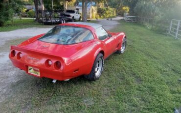 Chevrolet-Corvette-Coupe-1981-3